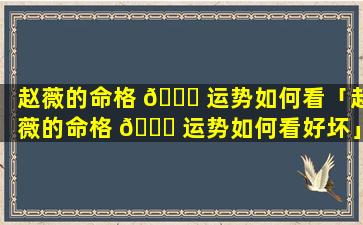 赵薇的命格 🍀 运势如何看「赵薇的命格 🐟 运势如何看好坏」